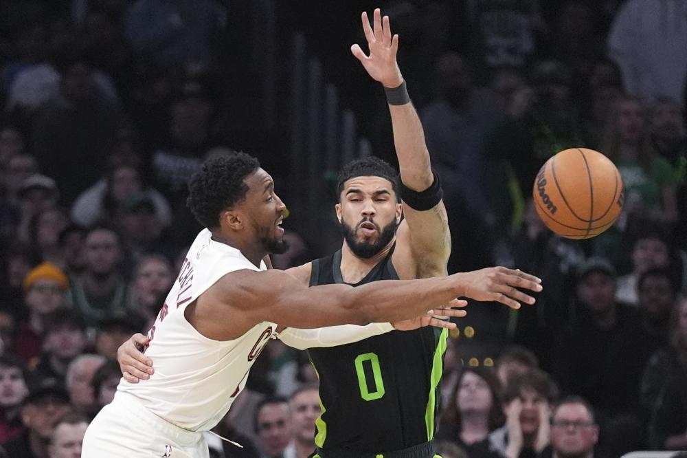 王哲林的场 王哲林的场